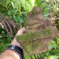 Sebuah artefak yang diduga terakota kembali ditemukan di kawasan situs Candi Bubrah, Dukuh Duplak, Kecamatan Keling.