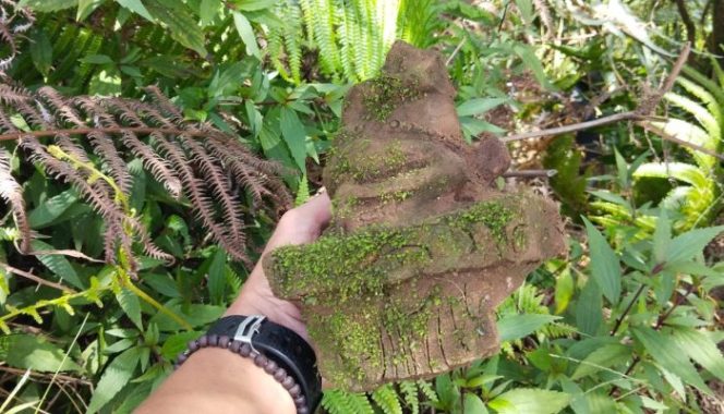 
 Sebuah artefak yang diduga terakota kembali ditemukan di kawasan situs Candi Bubrah, Dukuh Duplak, Kecamatan Keling. 