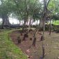 Komplek Makam Pangeran Danang Syarif Hadiwoso dan keluarga di Pringtulis Jepara